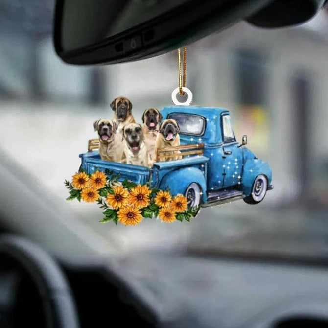 Vehicle Decor