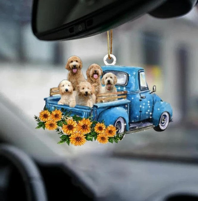 Vehicle Decor
